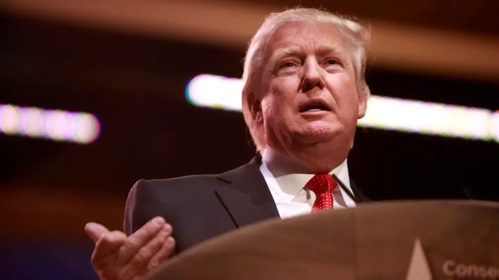 Did cnn help elect donald trump?